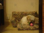 DSC02051