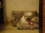 DSC02052