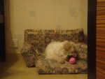 DSC02054