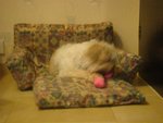 DSC02055