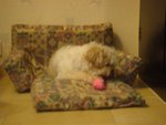 DSC02057