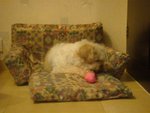 DSC02058