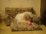 DSC02059