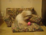 DSC02060