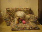 DSC02061
