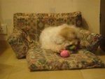DSC02066