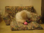 DSC02069