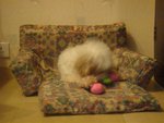 DSC02070