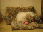 DSC02071