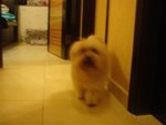 DSC02074