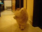 DSC02075