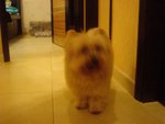 DSC02076