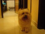 DSC02077
