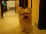 DSC02078