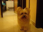 DSC02079