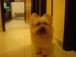 DSC02080