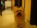 DSC02081