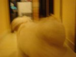 DSC02082