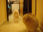 DSC02083