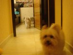 DSC02084