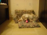 DSC02091