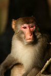 DSC05231a