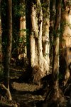 DSC05235a