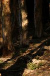 DSC05238a