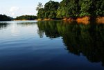 DSC05248a