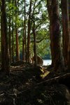 DSC05261a