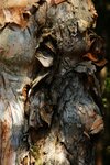 DSC05288a