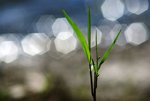 DSC05289a
