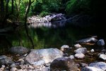DSC05295a