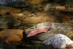 DSC05305a