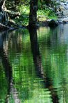 DSC05306a