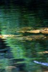 DSC05309a