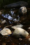 DSC05317a