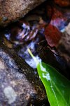 DSC05328a