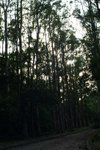 DSC05214
