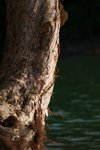DSC05221