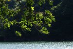 DSC05286