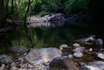 DSC05295