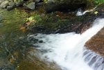 DSC05298