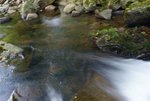 DSC05299