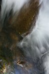 DSC05300