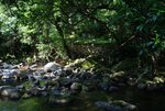 DSC05303