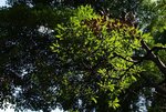 DSC05304