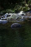 DSC05310