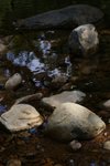 DSC05317