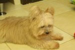 PICT0085